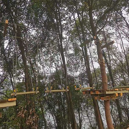 湖北宜都天龍灣青少年拓展基地叢林穿越